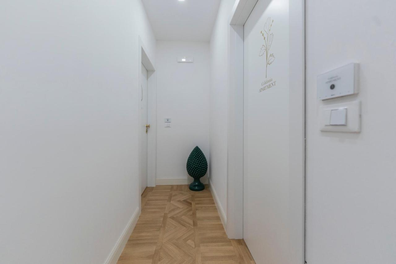 Aldrovandi Luxury Suites And Apartment Bolonha Exterior foto